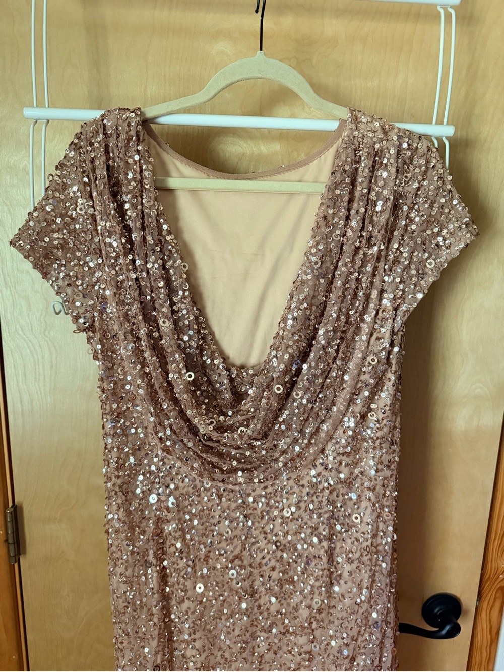 Adriana Papell Rose Gold Sequin Short Sleeve Evening Dress - Picture 5 of 7